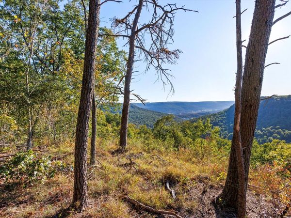 0 Raulston Falls Road, Unit Jf28, Jasper, TN 37347