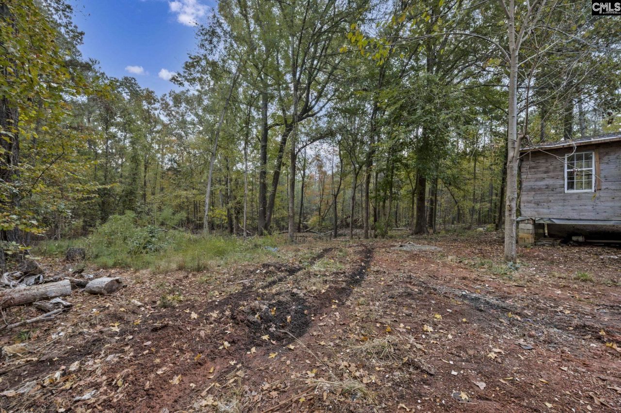 8857 Sc-215 Photo 23