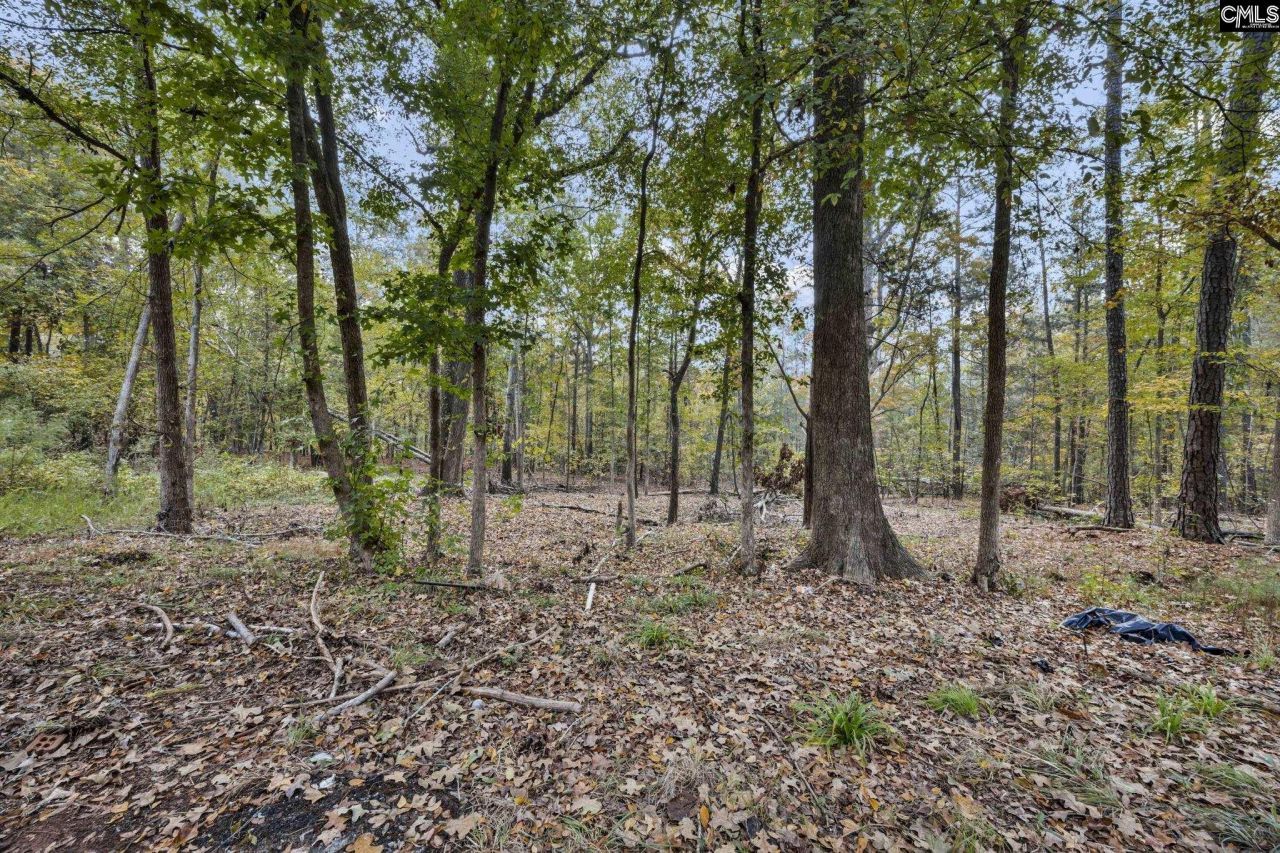 8857 Sc-215 Photo 26