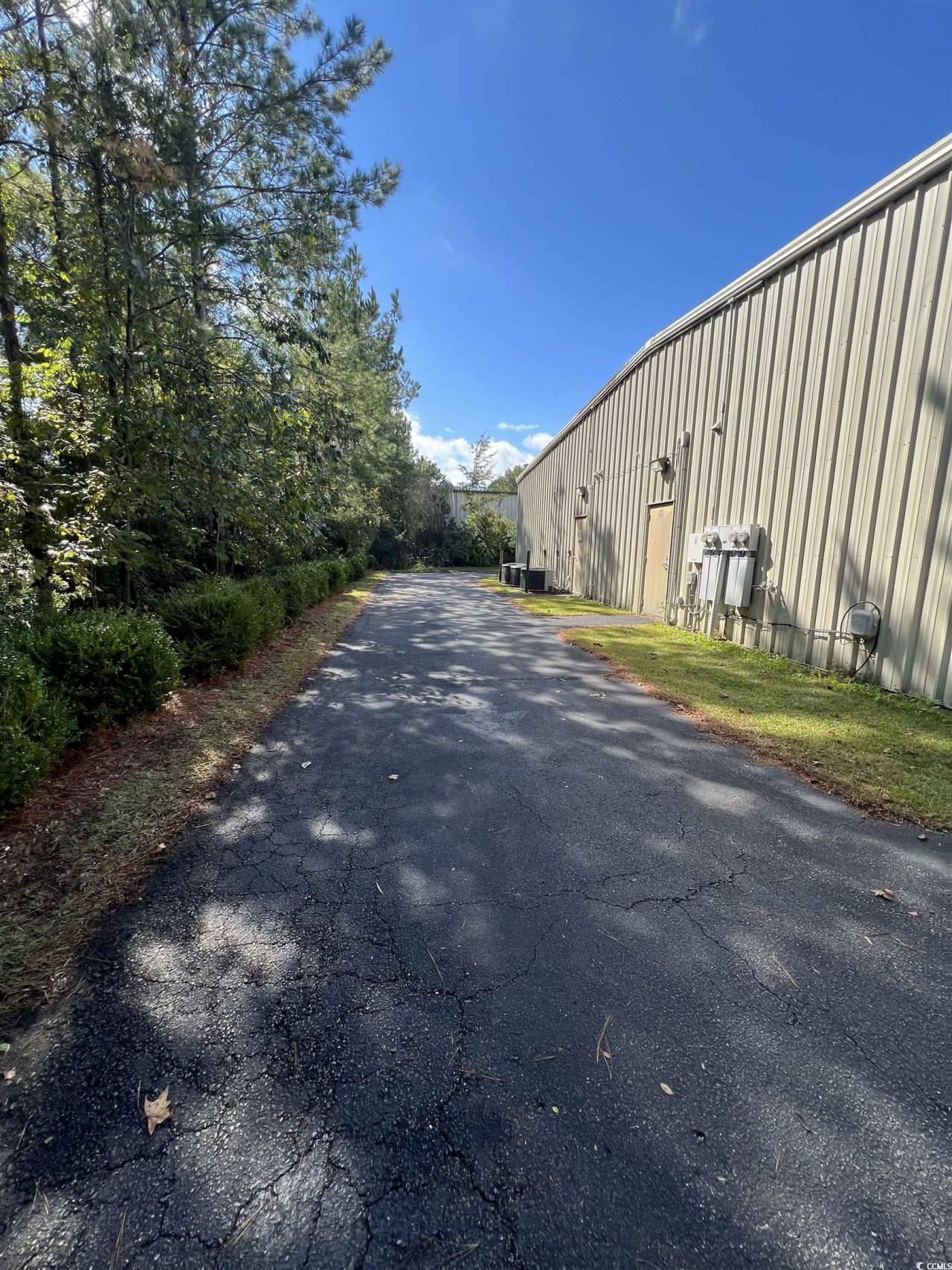 106 Lichen Ct. Photo 11