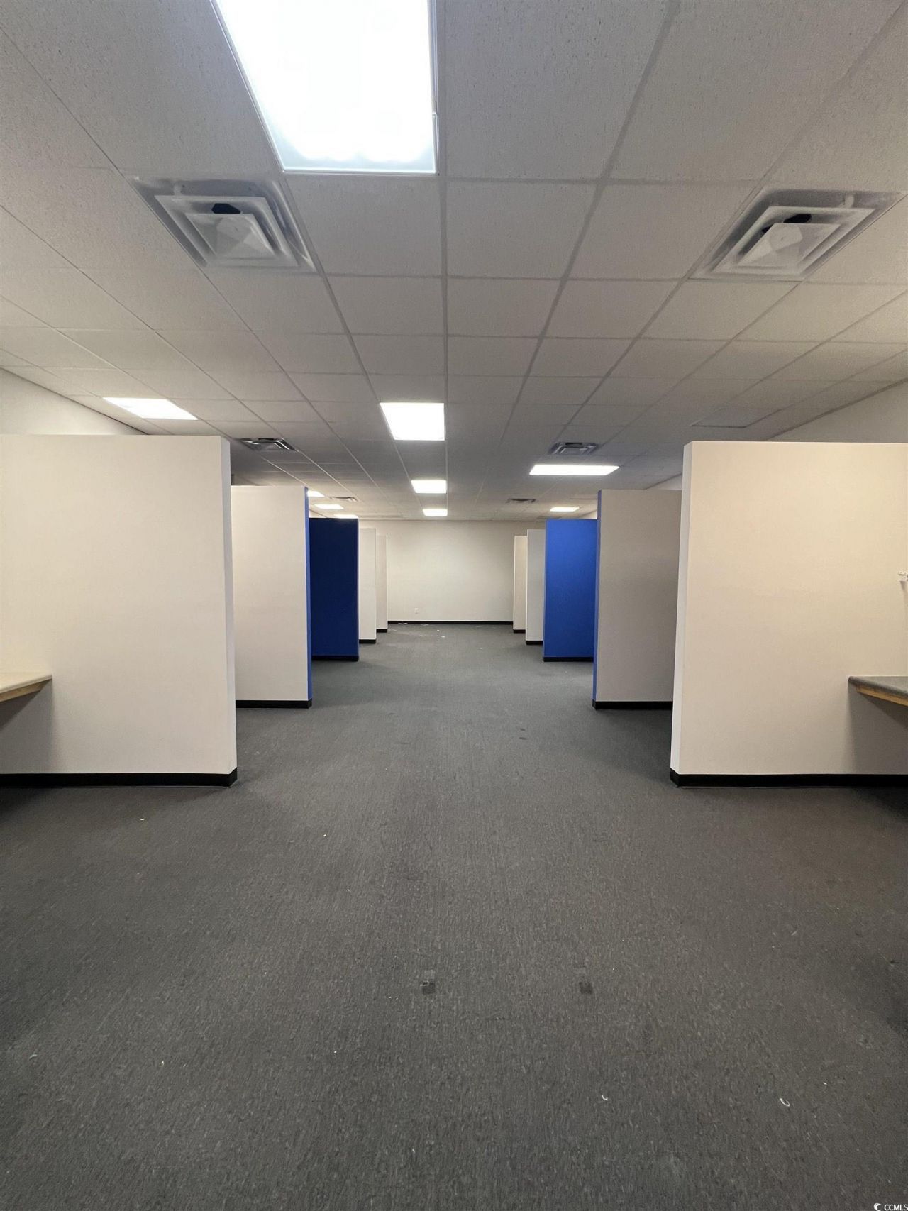 106 Lichen Ct. Photo 6