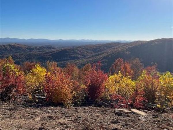 Lot 65 and 66 Widow Mountain Drive, McGrady, NC 28659