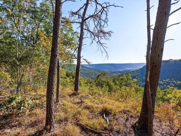 0 Raulston Falls Road, Jasper, TN 37347