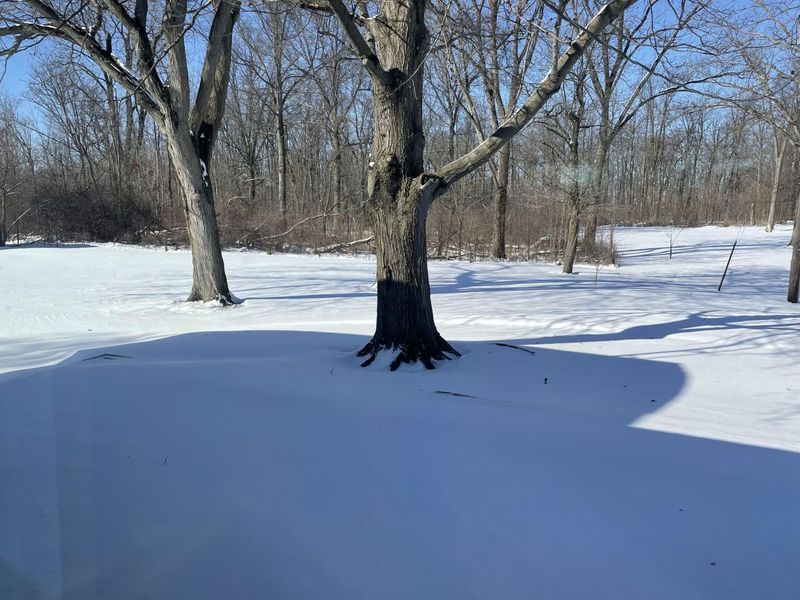 19211 State Route 219, Botkins, OH 45306 Photo 21