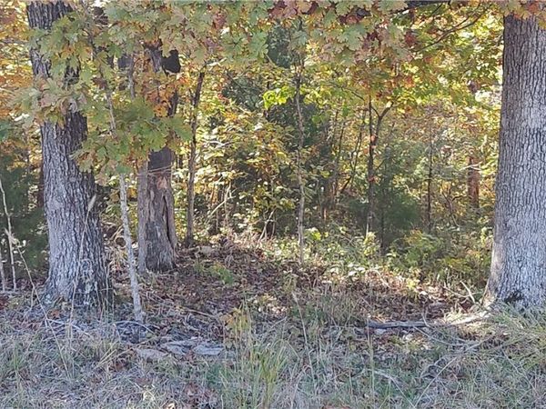 Donington Lane, Bella Vista, AR 72714