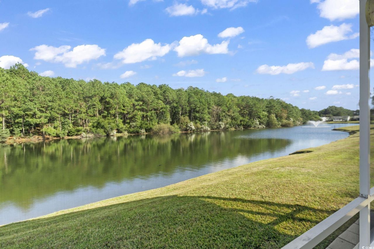 109 Lakeside Crossing Dr. Photo 29