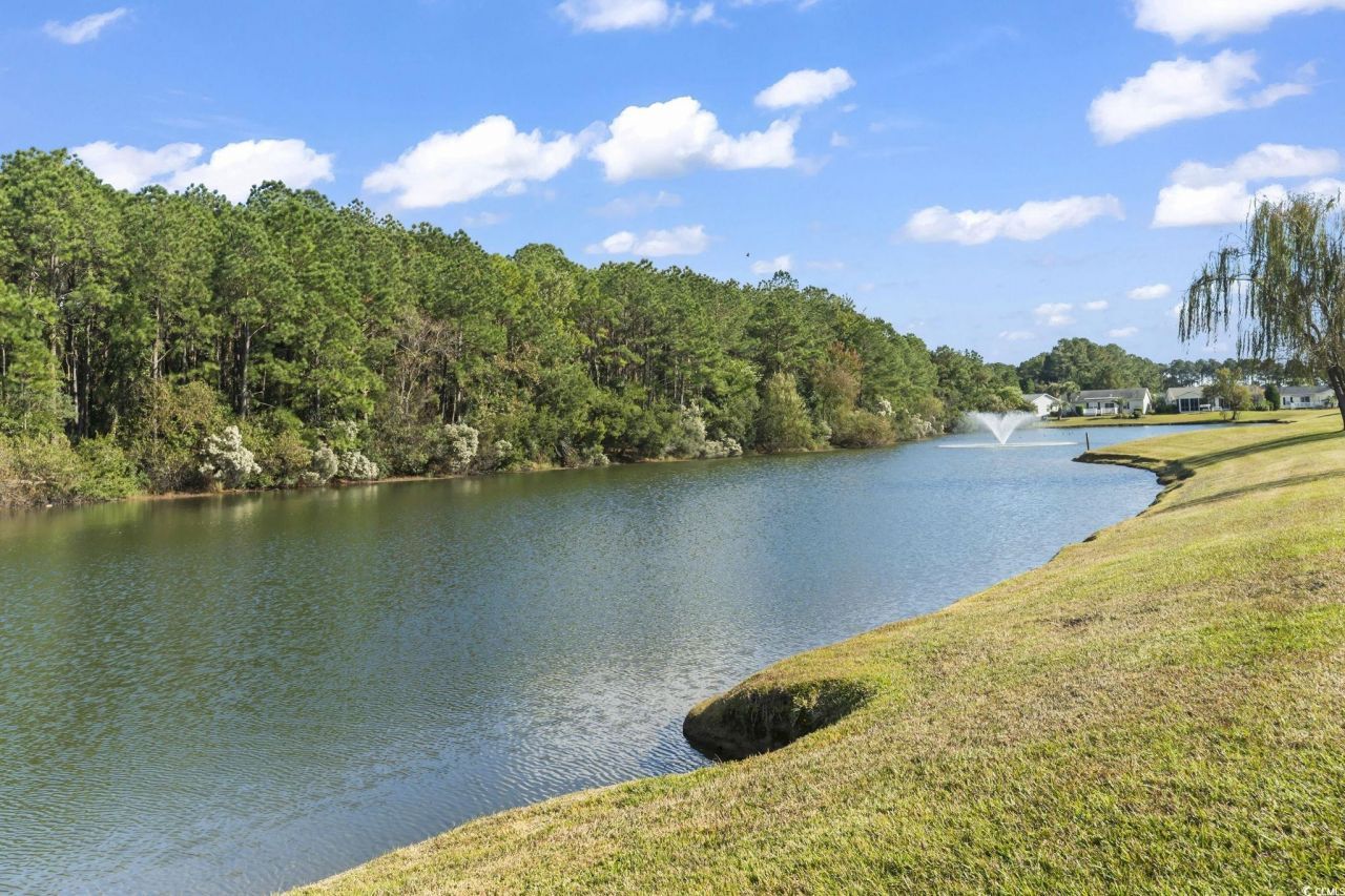 109 Lakeside Crossing Dr. Photo 30