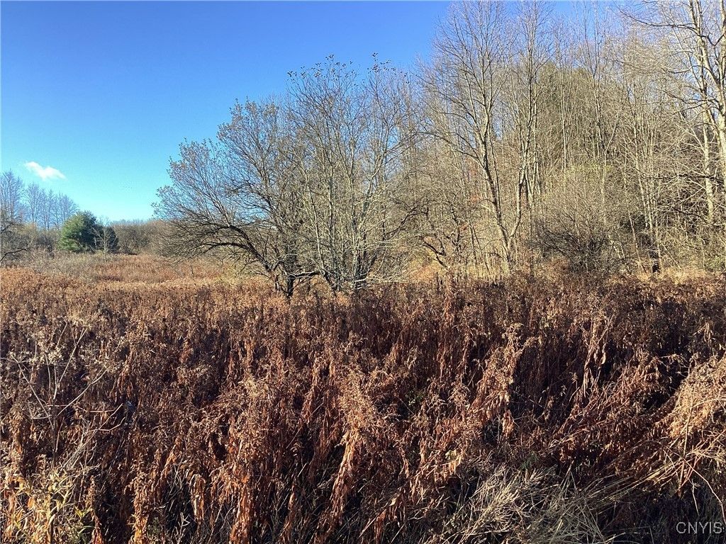 00 Blue, Barneveld, NY 13304 Main Photo