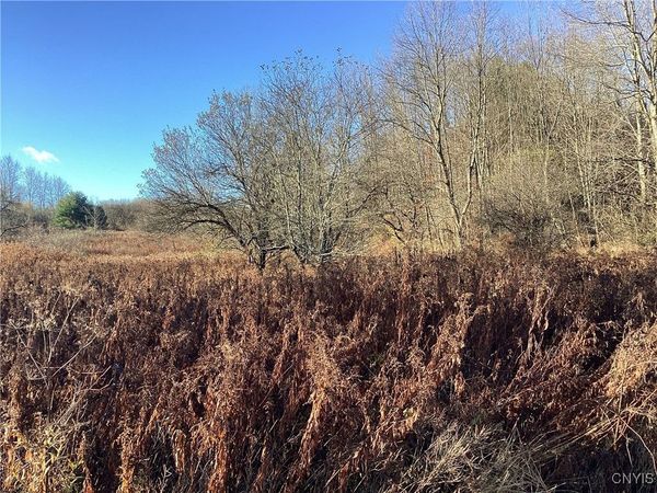 00 Blue, Barneveld, NY 13304