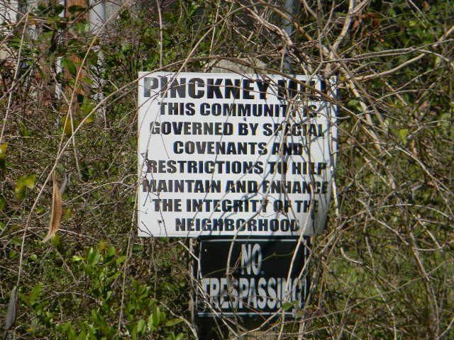 126 Pinckney Road Photo 4