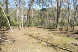 126 Pinckney Road photo 4