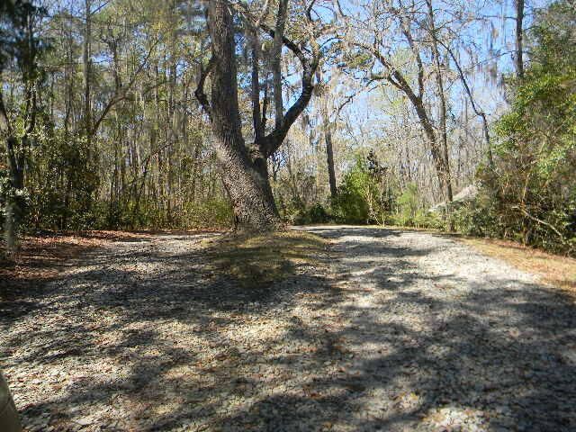 126 Pinckney Road Photo 6