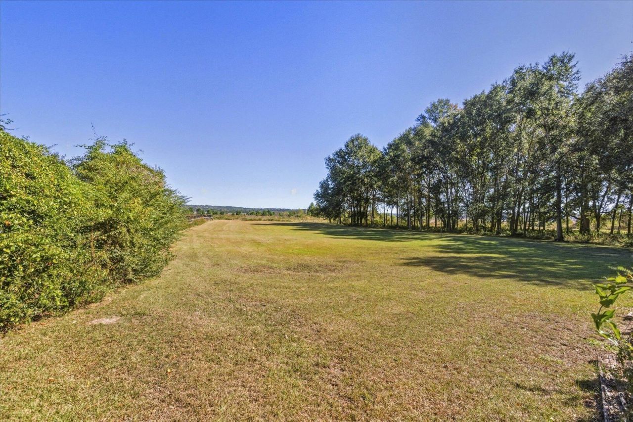 4533 Andrew Jackson Way, Tallahassee, FL 32303 Photo