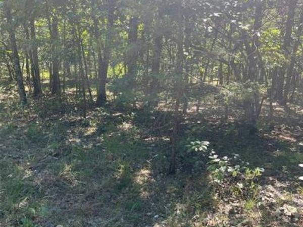 5526 Bon Ron Dr, Hillsboro, MO 63050