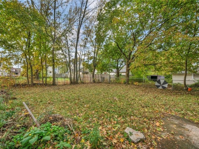 1033 W 21st Street, Lorain, OH 44052 Photo 5