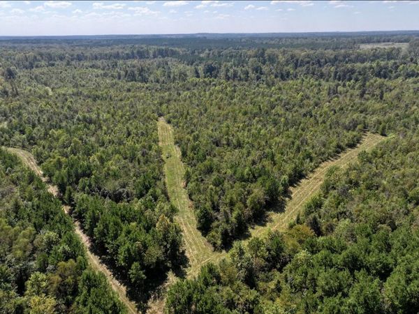 County Road 5020, Kosciusko, MS 39090