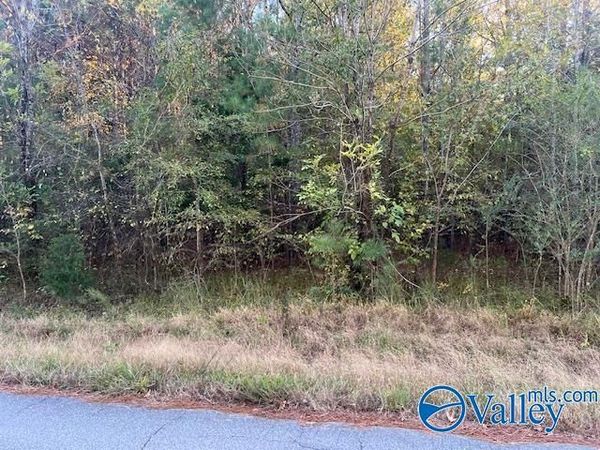 0 Martin Road, Rainbow City, AL 35906