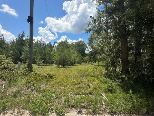 209TH ROAD, LIVE OAK, FL 32060