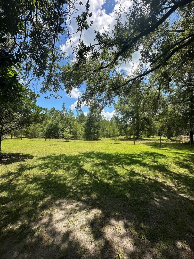 209th Road, Live Oak, FL 32060 Photo