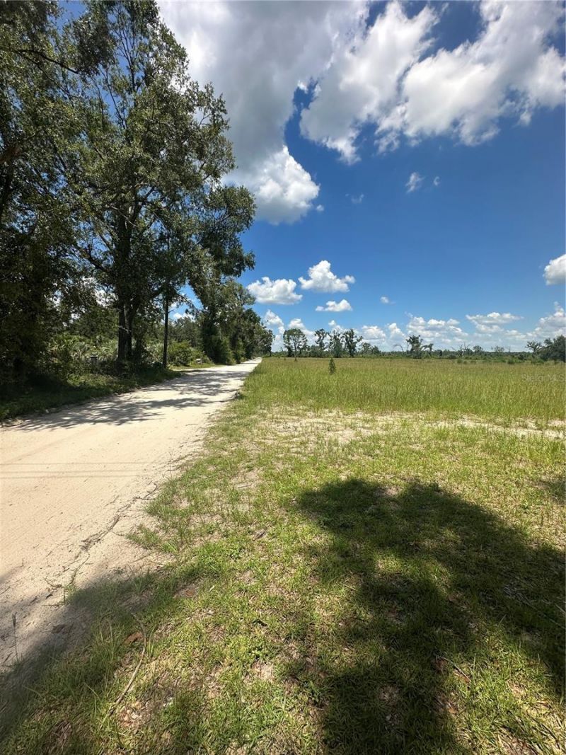 209th Road, Live Oak, FL 32060 Photo