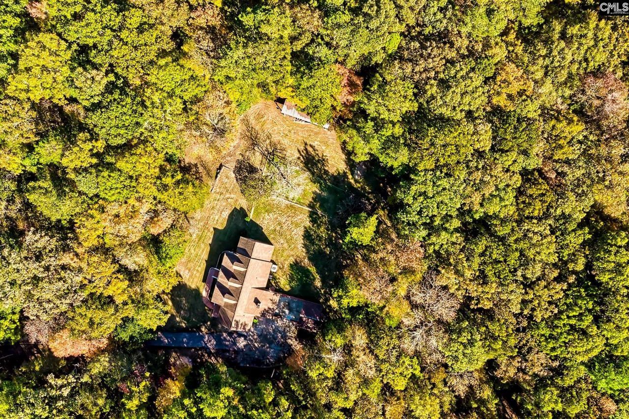 225 Connie Wright Road Photo 41