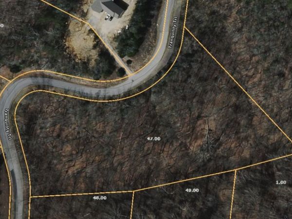 47 Tranquility Tr, Dandridge, TN 37725