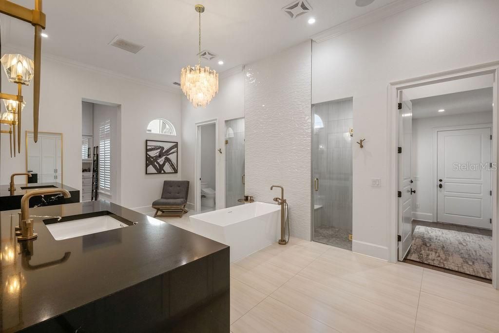 9733 Carillon Park Drive, Windermere, FL 34786 Photo