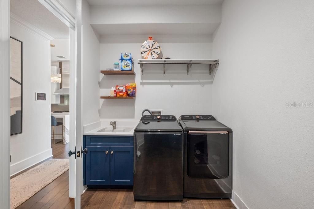 9733 Carillon Park Drive, Windermere, FL 34786 Photo