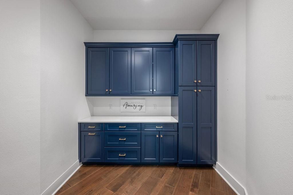 9733 Carillon Park Drive, Windermere, FL 34786 Photo