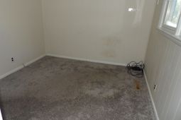 111 Heatley Street photo 4