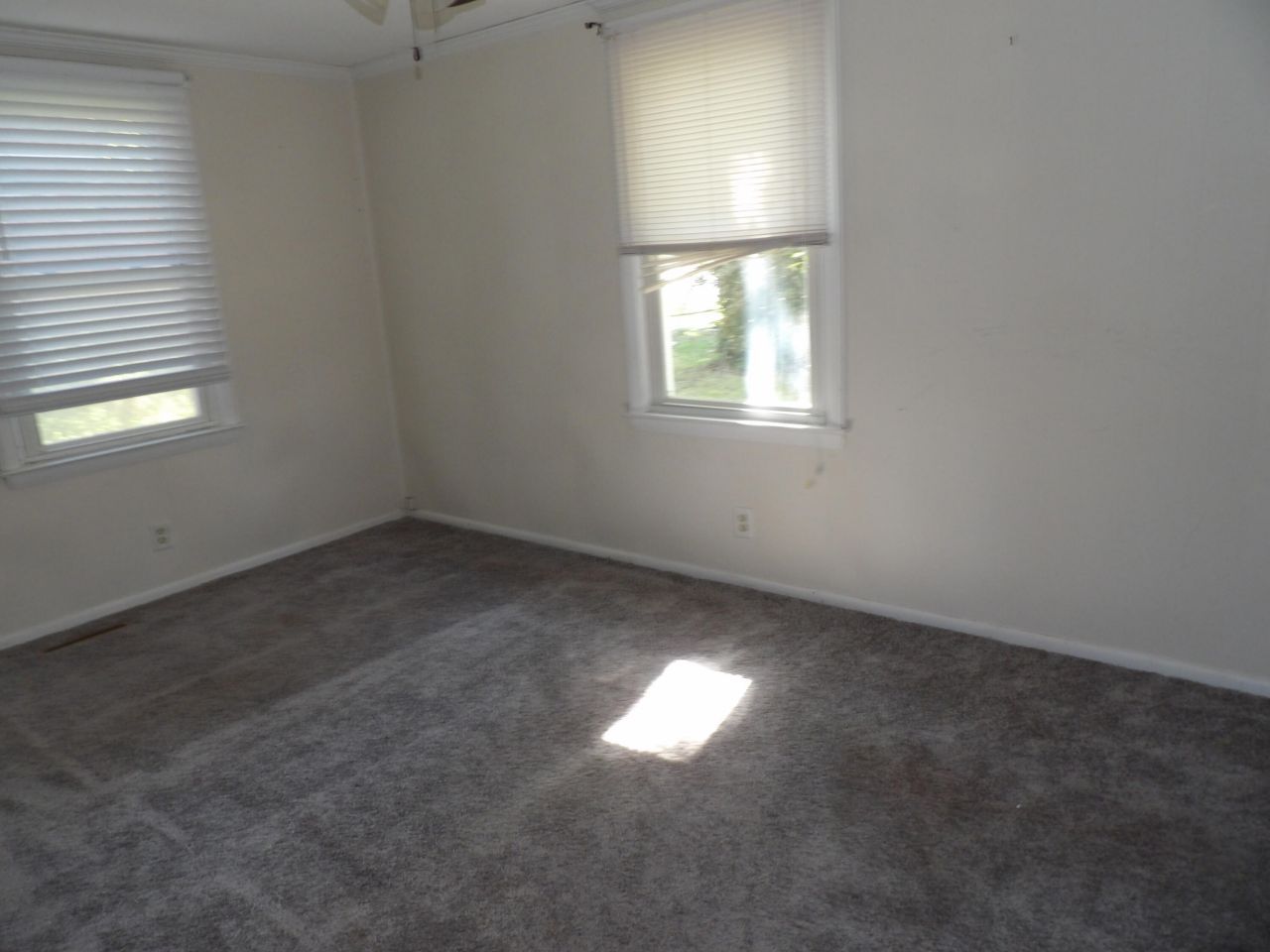 111 Heatley Street Photo 7