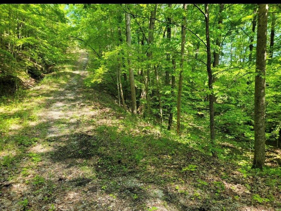 Property Image 5