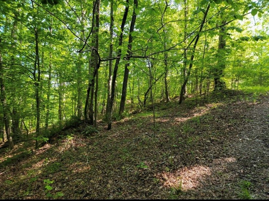 Property Image 8