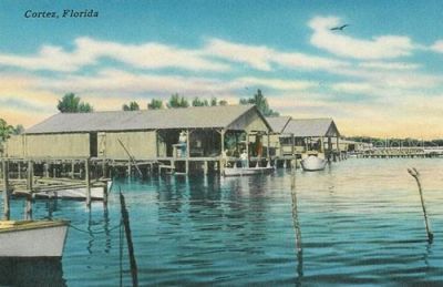 9811 Hernando Court, Bradenton, FL 34210 Photo