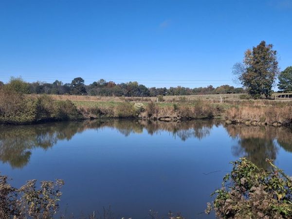 160 Little Egypt Rd, Tuscumbia, AL 35674
