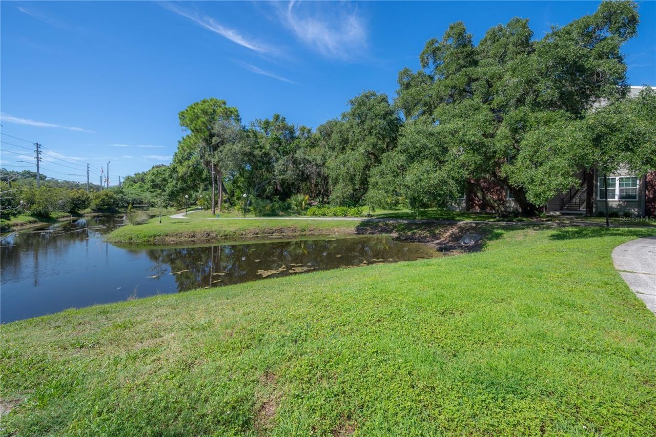 9100 Dr Martin Luther King Jr Street N, Unit 905, Saint Petersburg, FL 33702 Photo