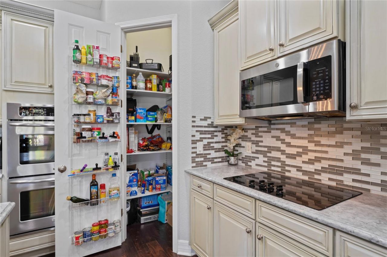 21604 Draycott Way, Land O Lakes, FL 34637 Photo