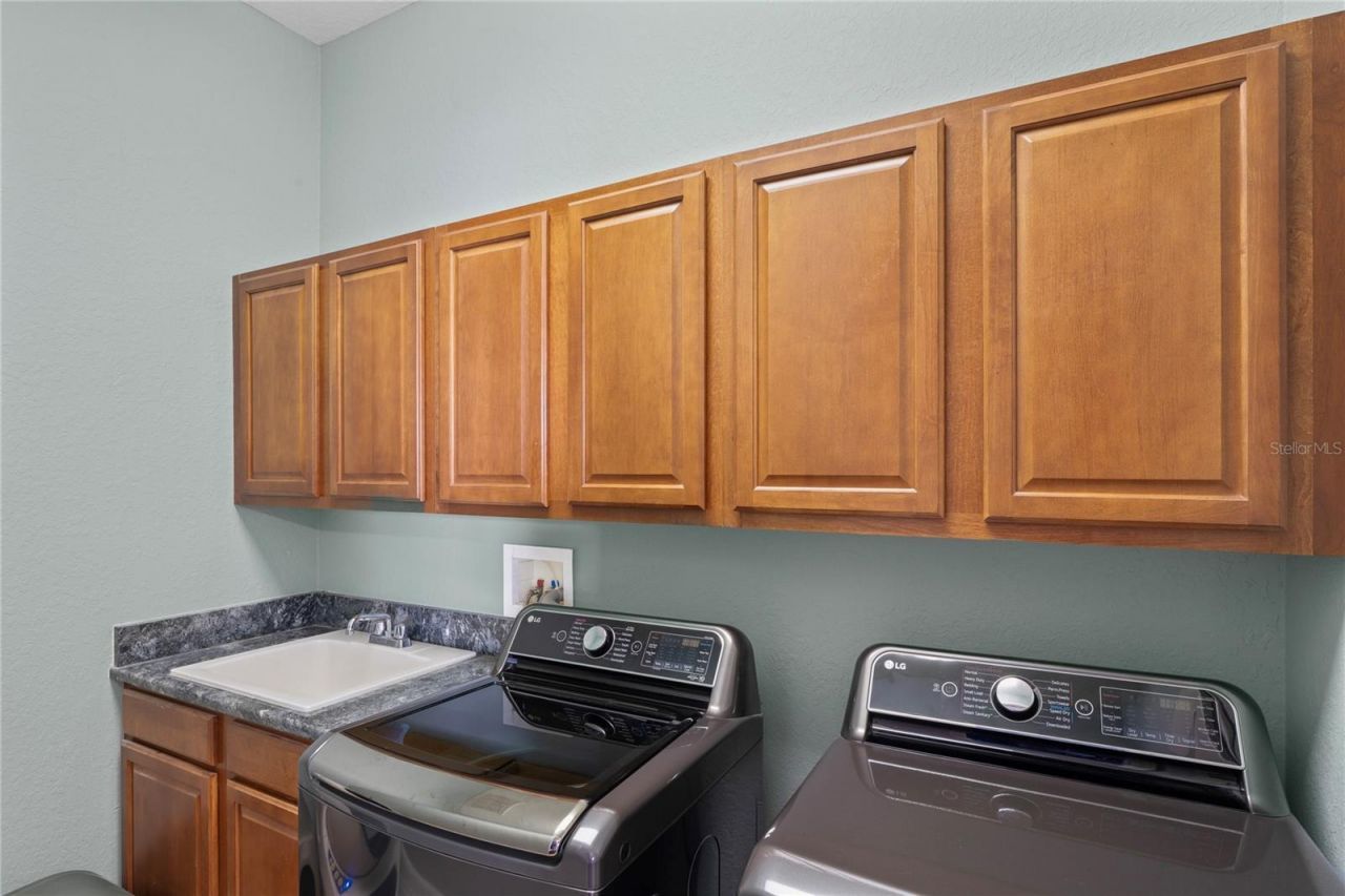 21604 Draycott Way, Land O Lakes, FL 34637 Photo