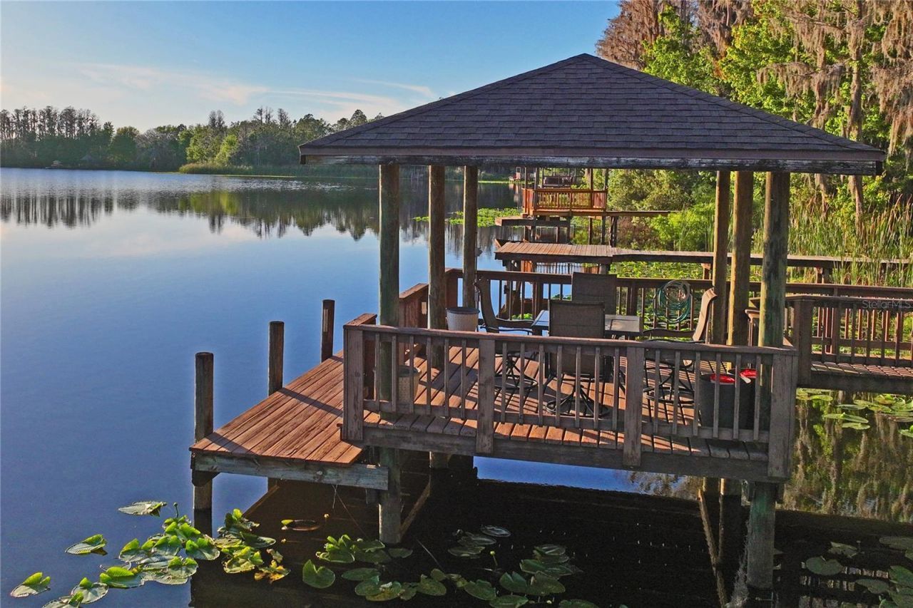 21604 Draycott Way, Land O Lakes, FL 34637 Photo