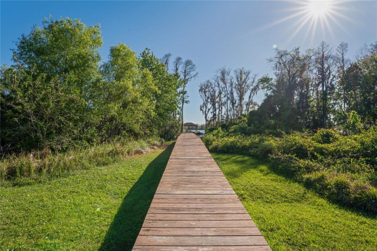 21604 Draycott Way, Land O Lakes, FL 34637 Photo