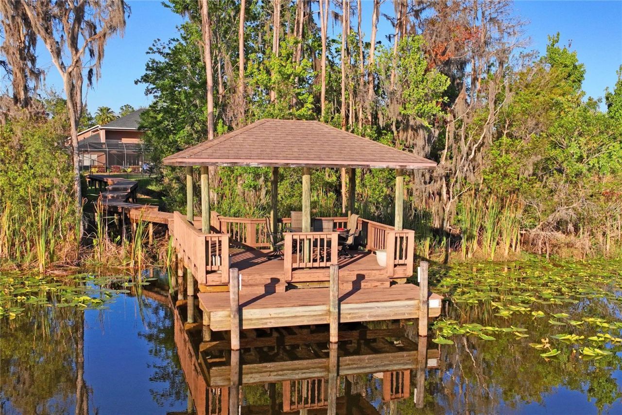 21604 Draycott Way, Land O Lakes, FL 34637 Photo