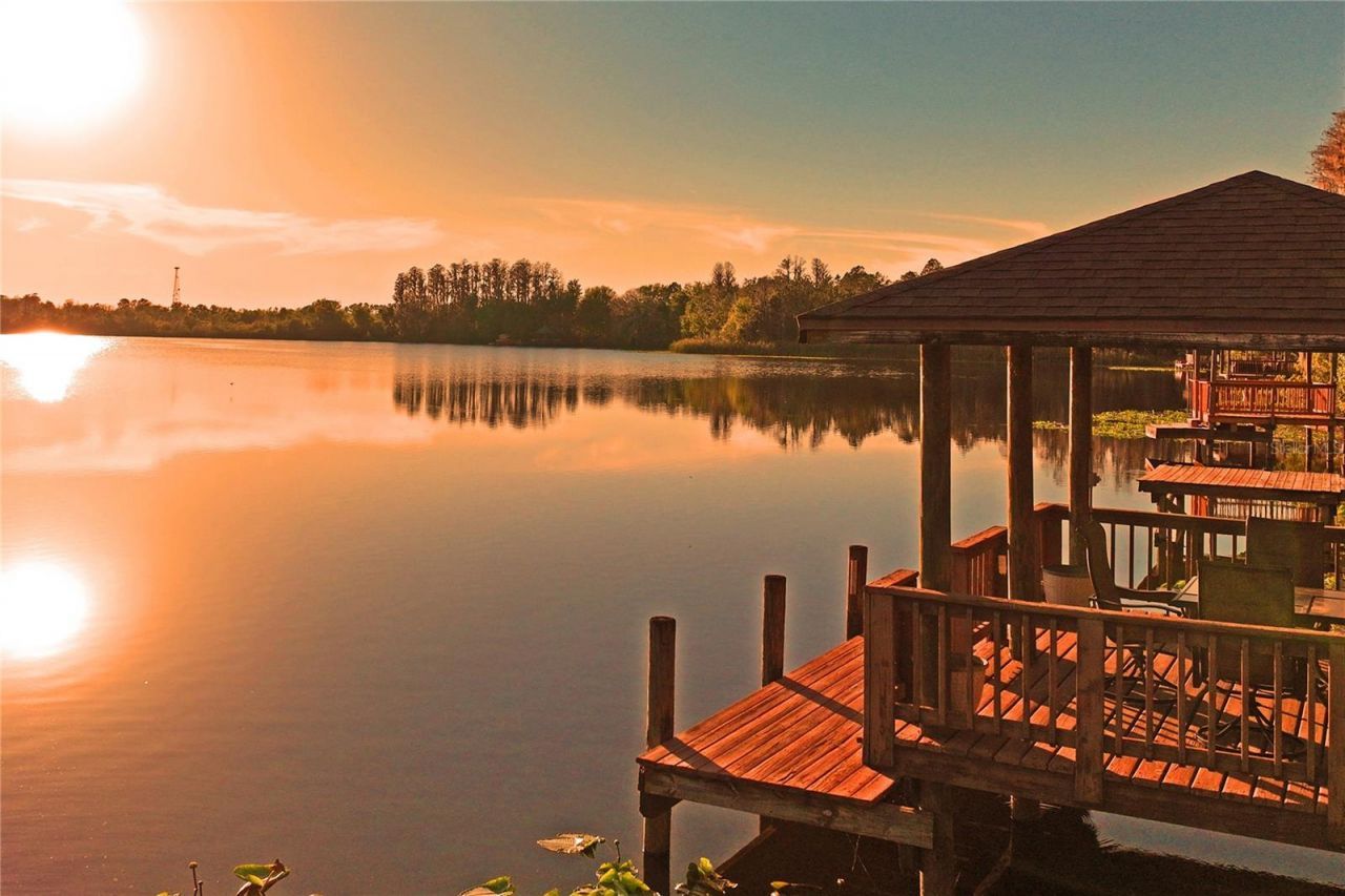 21604 Draycott Way, Land O Lakes, FL 34637 Photo