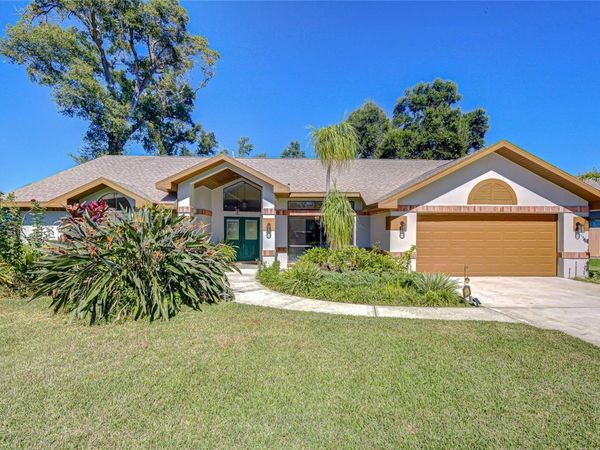 3816 BUCKINGHAM LOOP DRIVE, VALRICO, FL 33594