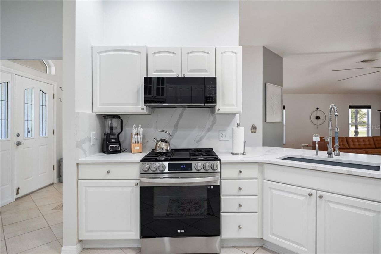 1573 Norfolk Avenue, The Villages, FL 32162 Photo