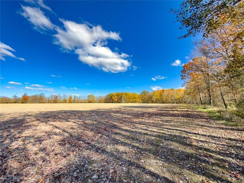 0 Middle Road, Pierpont, OH 44082 Photo 10