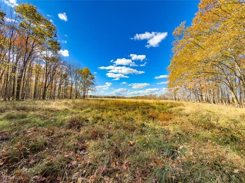 0 Middle Road, Pierpont, OH 44082 Photo 13