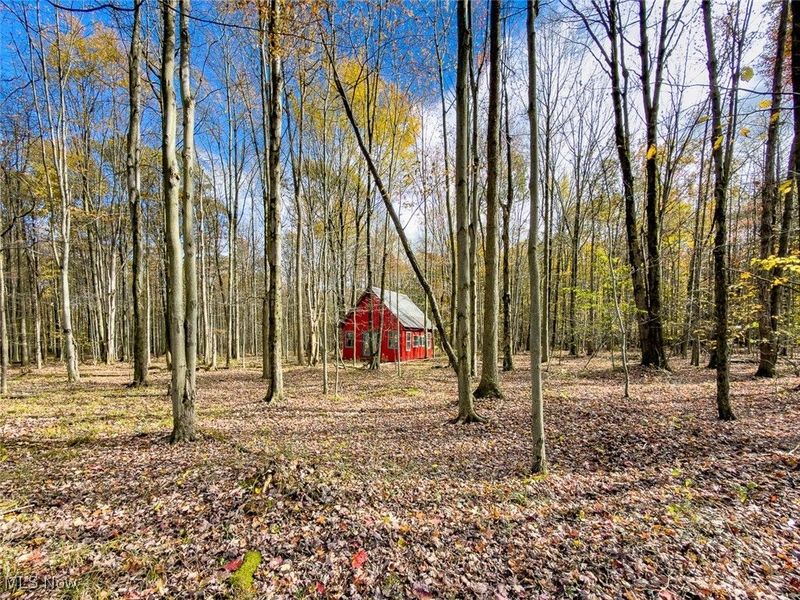 0 Middle Road, Pierpont, OH 44082 Photo 15