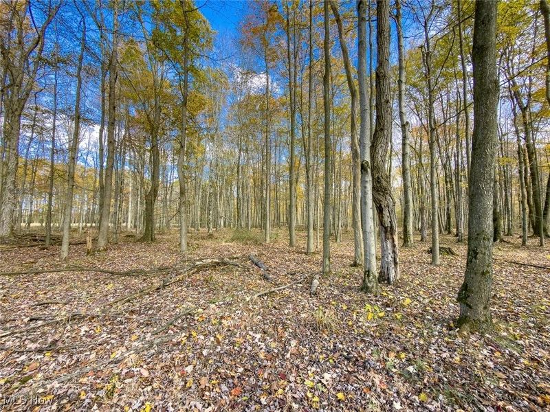 0 Middle Road, Pierpont, OH 44082 Photo 22