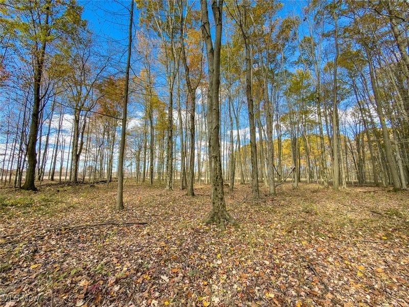 0 Middle Road, Pierpont, OH 44082 Photo 23