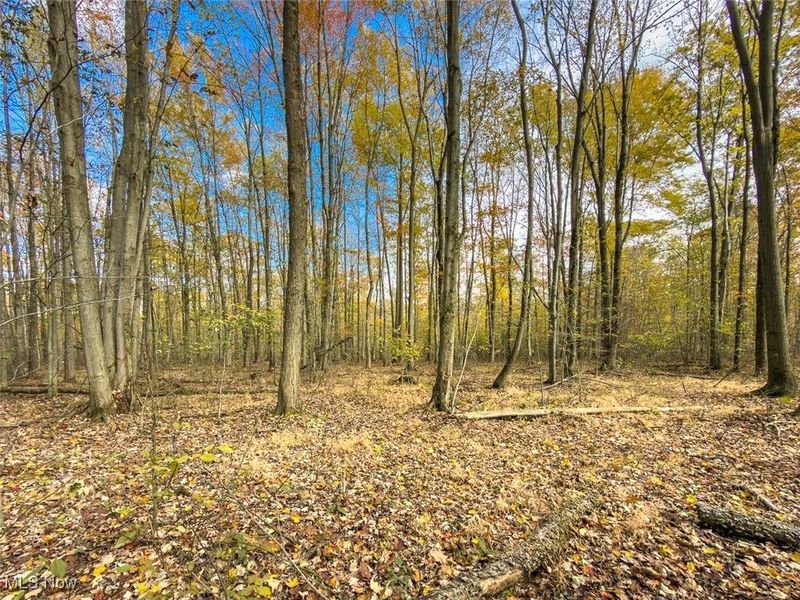 0 Middle Road, Pierpont, OH 44082 Photo 24